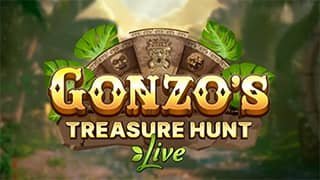 gonzotreasurehunt